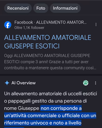 Cocorite Esotici Animali Pappagalli Uccelli volat