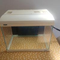 Acquario pesci 30 litri