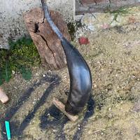 Scarico completo originale hsq 125 sm/wr/wre/cr