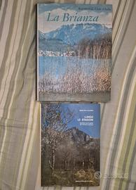 Lotto 2 Libri Vintage Lecco e Brianza
