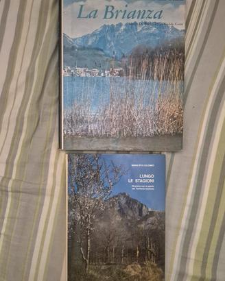Lotto 2 Libri Vintage Lecco e Brianza