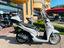 Immagine 6