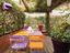 Immagine 25