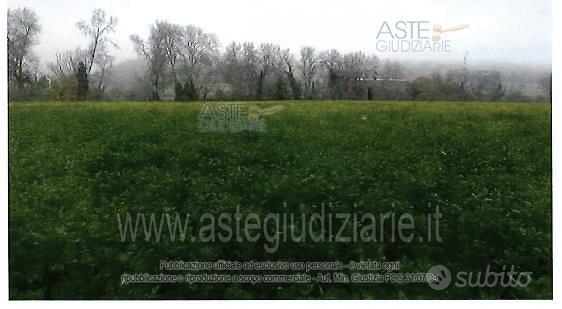 Terreno Agricolo Orte [A4337772] - Vista 2