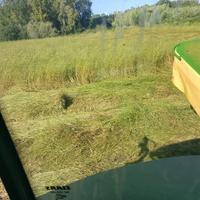 Foraggio medica paglia