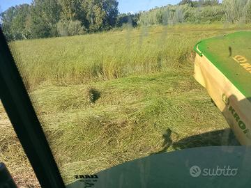 Foraggio medica paglia