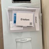 Vaillant OutsideMag 12l scaldabagno a metano