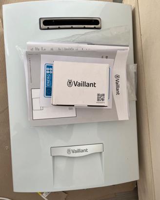 Vaillant OutsideMag 12l scaldabagno a metano
