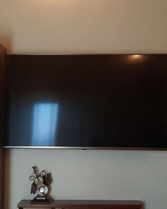 TV 55 polici