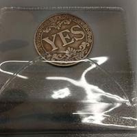 MONETA DECISIONALE YES/NO