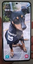 Samsung a36 5g 256gb 8 ram