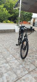 Bicicletta elettrica 