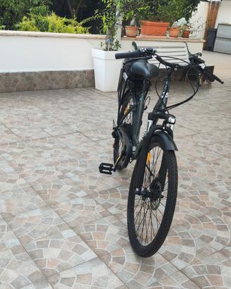 Bicicletta elettrica 
