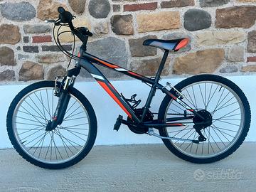 Mtb ragazzo Stark
