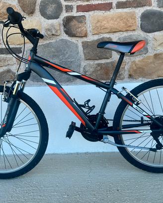 Mtb ragazzo Stark