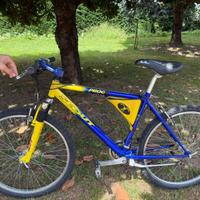 Bicicletta Scout
