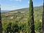 Immagine 21