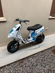 Scootercross Aprilia Rally Scooter Cross Piaggio Nrg Marmitta