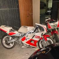 Yamaha tzr 125 R belgarda