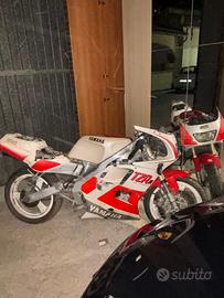 Yamaha tzr 125 R belgarda