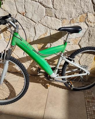 Bici Pininfarina Verdona 