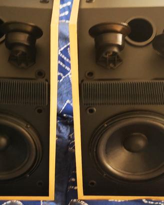 DIFFUSORI BOSE 301 JUBILEE USA SOUND