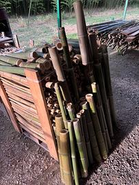 Canne di bambù naturale per giardino e recinzioni