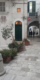 Appartamento Monopoli per brevi periodi 
