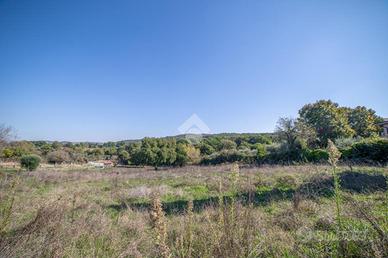 TER. AGRICOLO A FORMELLO