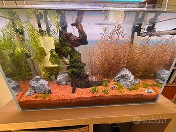 Acquario 60lt completo