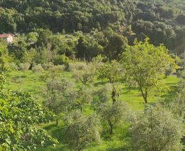 Terreno agricolo con edificio residenziale