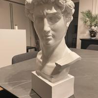 Busto David in resina bianca