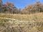 Immagine 26