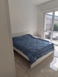 Stanza singola x studenti