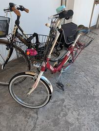 Bicicletta Cinzia