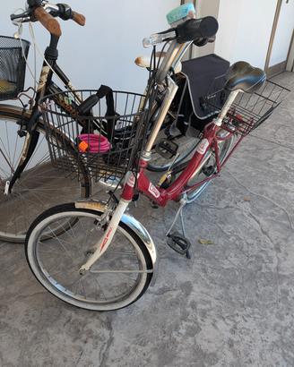 Bicicletta Cinzia