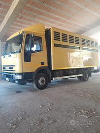Autocarro trasporto bestiame