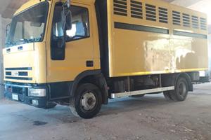 Autocarro trasporto bestiame