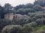 Immagine 12