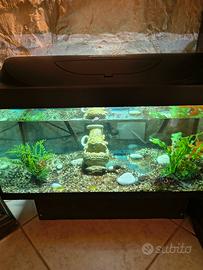acquario tetra 76 litri 
