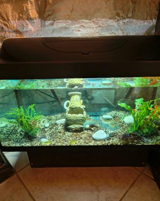 acquario tetra 76 litri 