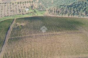 TERRENO A ALCAMO