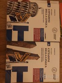 Cittadini della lingua A B più grammatica