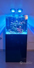 acquario marino 