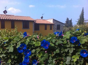 Elegante Bilo,giardino,garage,terrazza