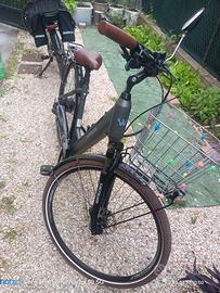 Bicicletta elettrica