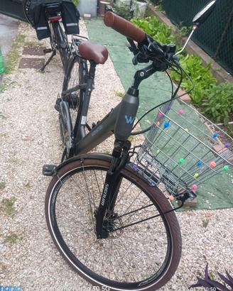 Bicicletta elettrica