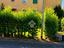 Immagine 18