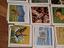 Immagine 5