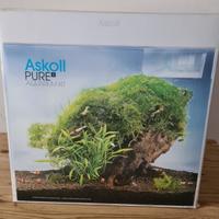 Acquario cubo 13 litri.